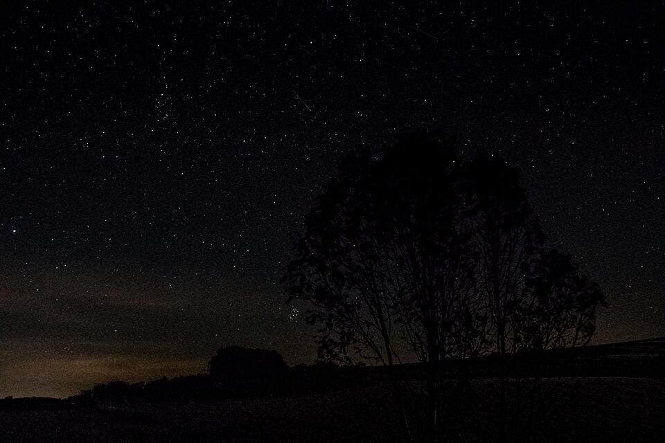 A clear night sky filled with countless stars above a silhouetted tree
