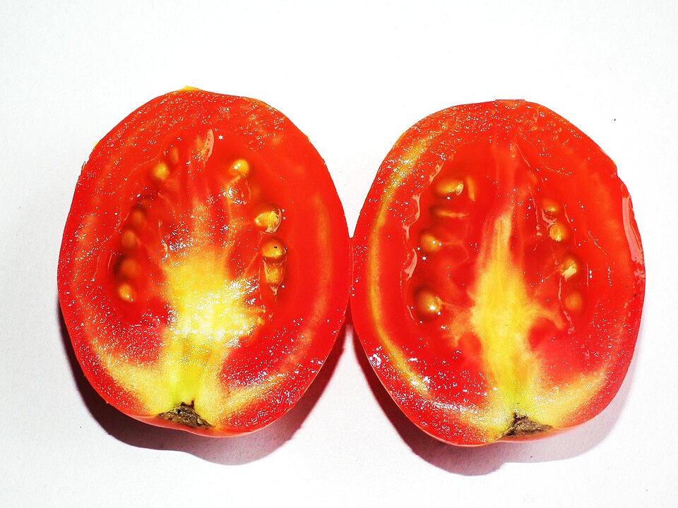 A ripe red tomato cut in half on a white surface, the two halves showing pale seeds embedded in the jelly and flesh inside.