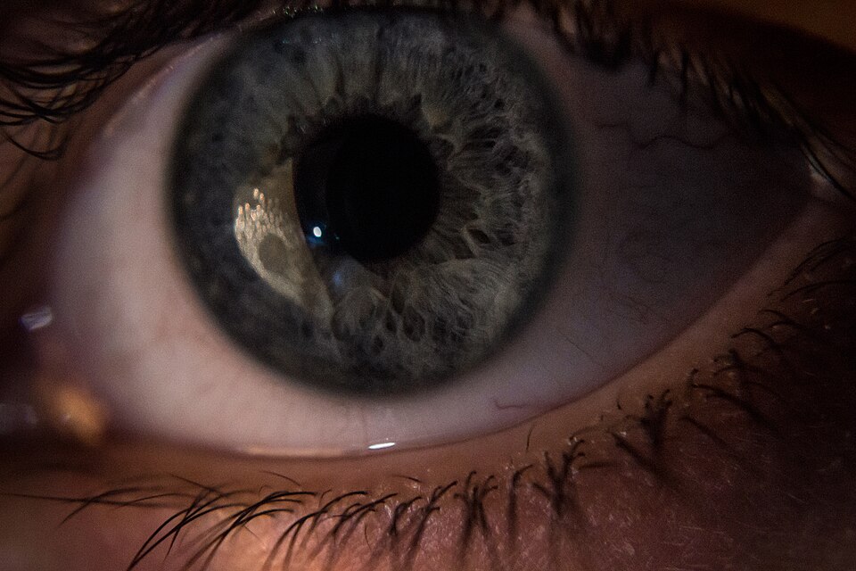 Extreme close-up of a human eye showing the greenish-grey iris around a wide dark pupil, framed by eyelashes.