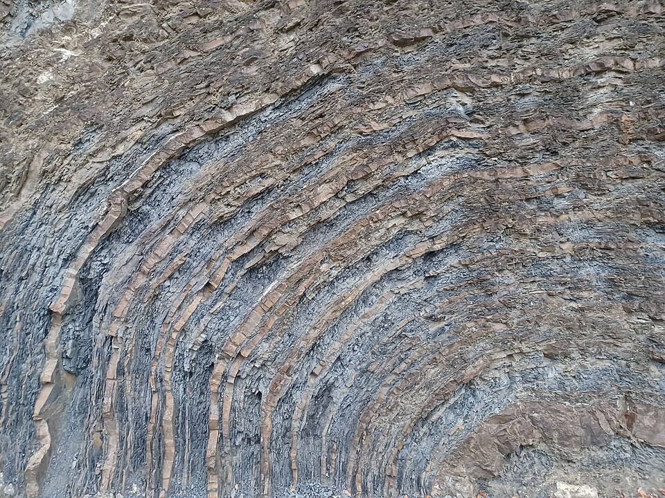 A rock face exposing many thin sedimentary beds stacked on one another and bent into a broad curve.