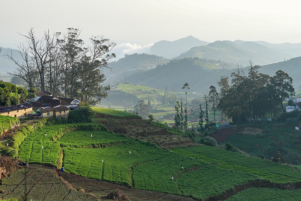 Terraced green fields and a small village on the slopes of the Nilgiri Hills near Ooty, Tamil Nadu, with hazy forested ridges rising behind.