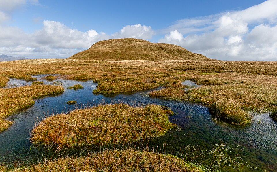 A waterlogged peat bog with dark standing pools between tussocks of rust-coloured sedge and moss, with a rounded hill behind.