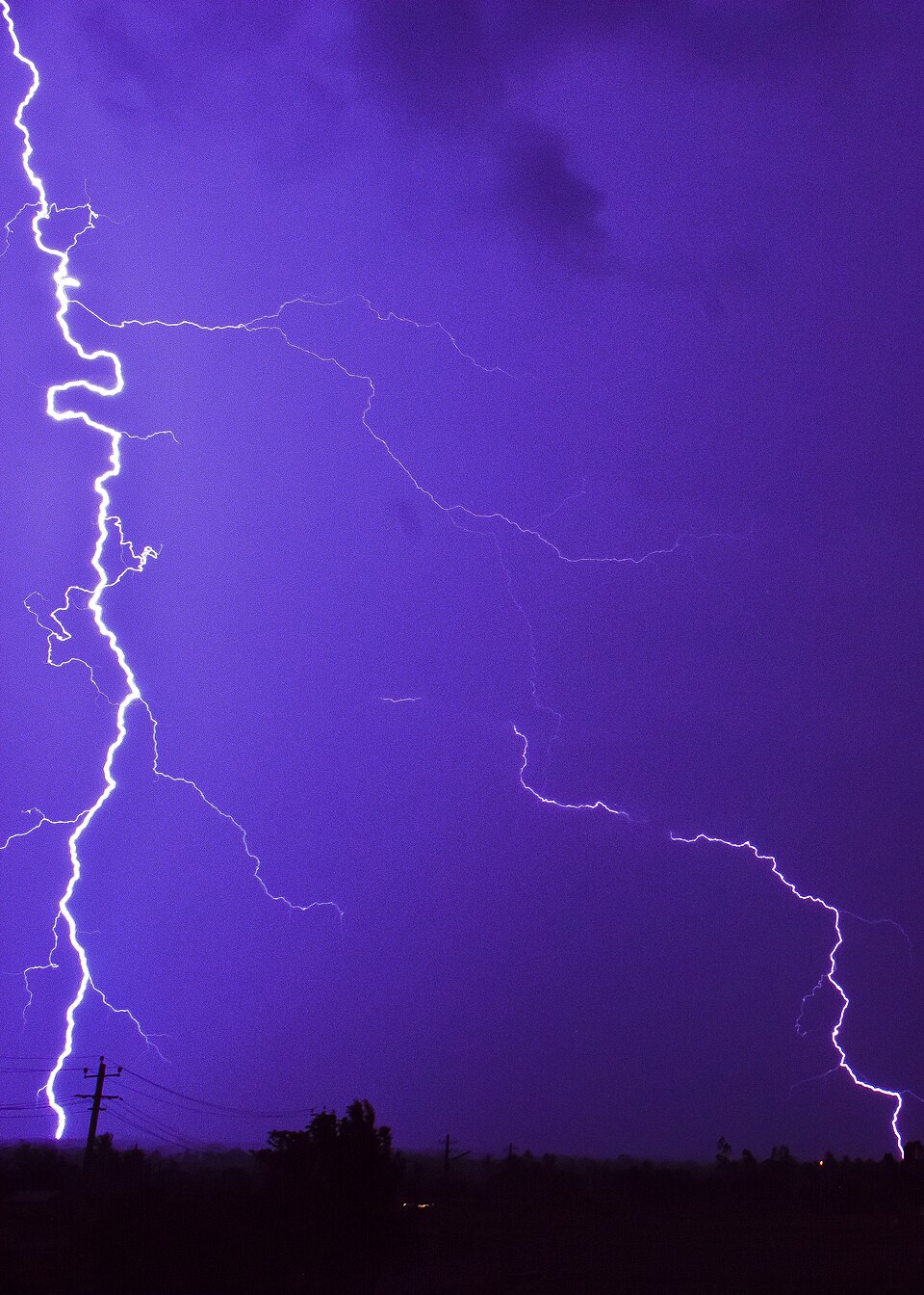 A branching cloud-to-ground lightning stroke lights up a purple night sky over a silhouetted treeline and power line during a thunderstorm.