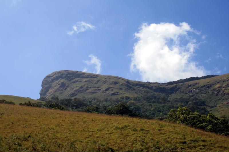 The grassy horse-face peak of the Kudremukh range in Karnataka rising above rolling shola grassland under a blue sky.