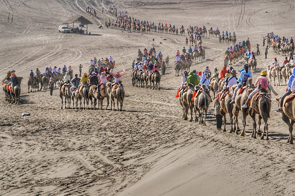 Camel caravan crossing the Mingsha sand dunes near Dunhuang on the historic Silk Road