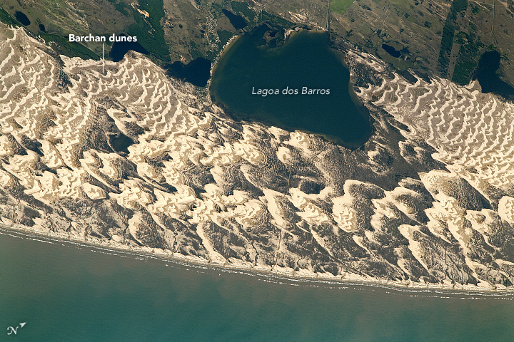 A field of pale crescent-shaped barchan sand dunes migrating inland from the coast in southern Brazil, seen from above, each crescent's horns pointing downwind