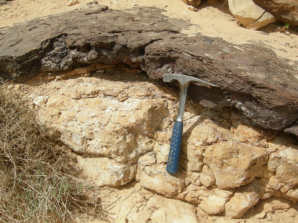 A weathered bank of reddish-brown, porous, iron-rich laterite - the hardened, leached soil that is quarried in blocks for building - with a geologist's hammer for scale