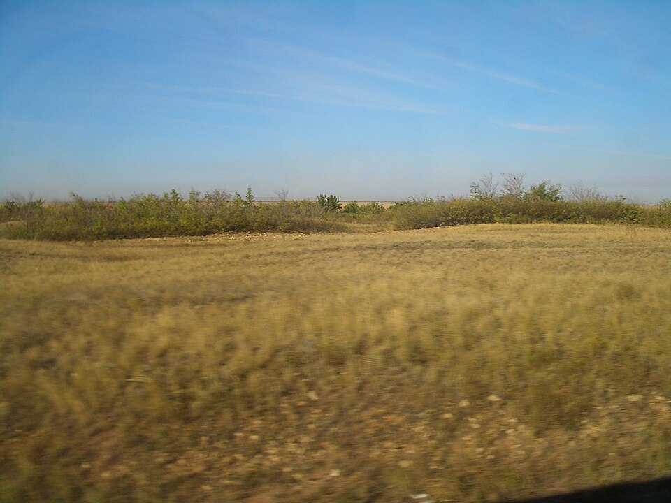 Open, treeless temperate steppe grassland of golden grasses stretching flat to the horizon near Astana, Kazakhstan, in Central Asia