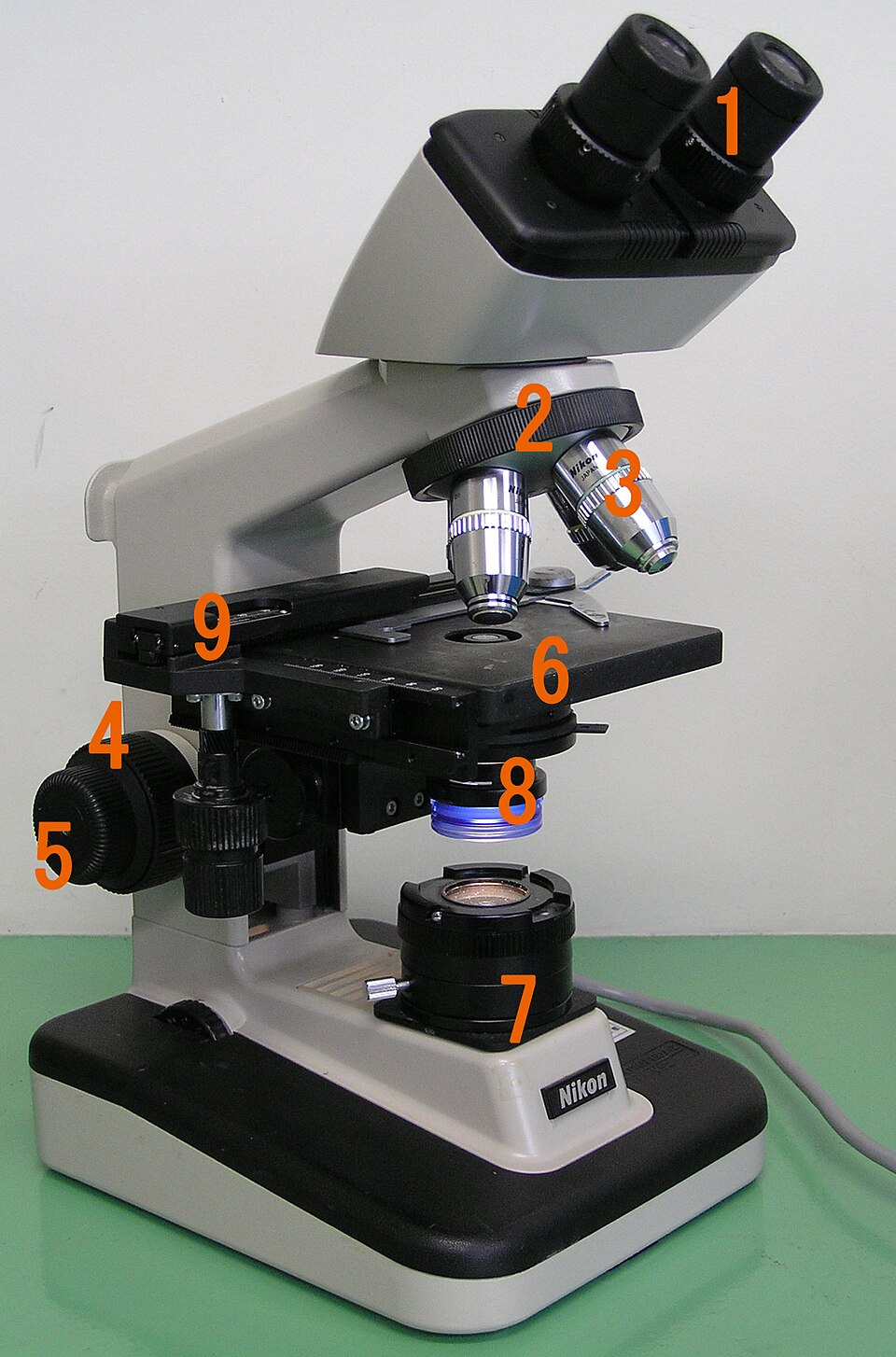 A student binocular compound light microscope with its parts numbered - eyepieces, objective lenses on the revolving nosepiece, stage with clips, focus knobs and the condenser and illuminator below