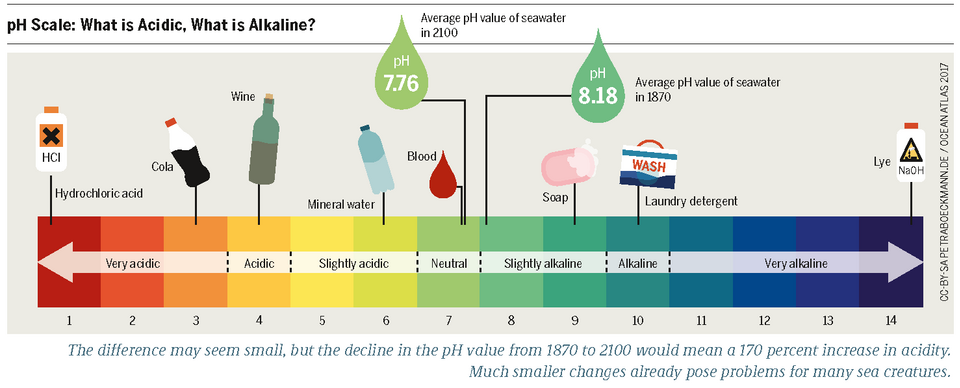 A colour-coded pH scale from 1 to 14 - red through green to blue - running from strong acids through neutral water at 7 to strong alkalis, with blood marked just on the alkaline side of neutral