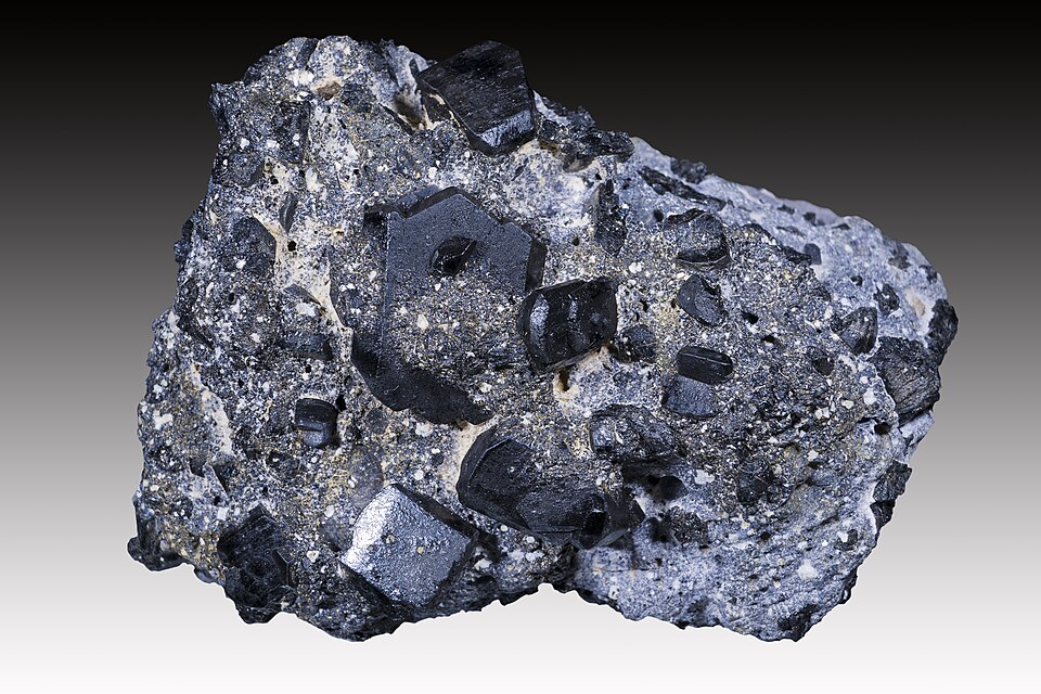 A mineral specimen showing dark greenish-black stubby prismatic augite (pyroxene) crystals set in a grey matrix