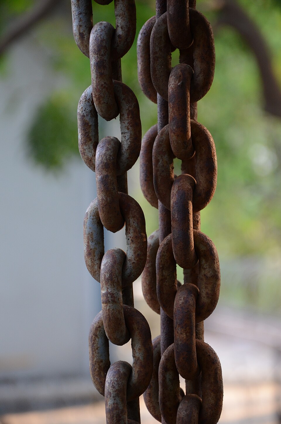 Heavy iron chains coated in reddish-brown rust, hanging against a blurred background