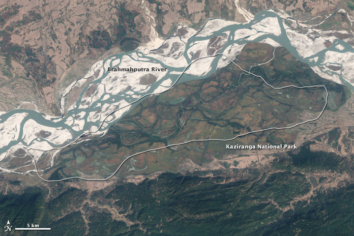 Satellite view of the wide, braided Brahmaputra River with sandbars on the Assam plains beside Kaziranga National Park