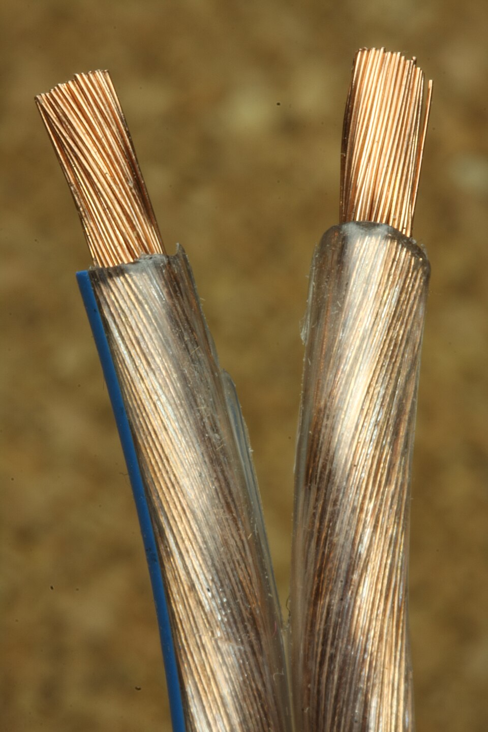 Close-up of stripped electrical cable exposing bright bare copper wire strands