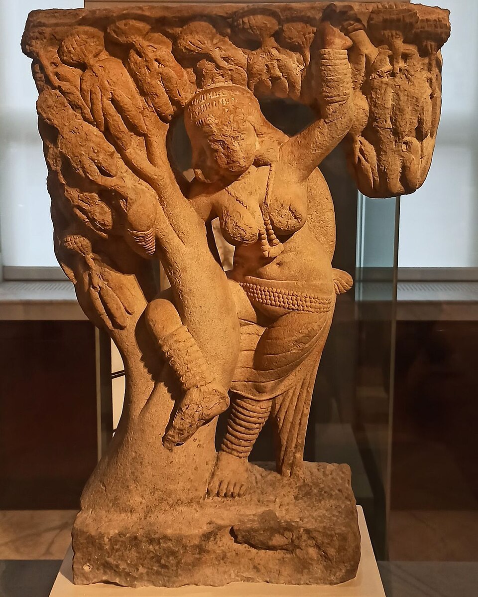A shalabhanjika (tree-woman) bracket figure from Sanchi, a sensuous female form grasping a tree branch