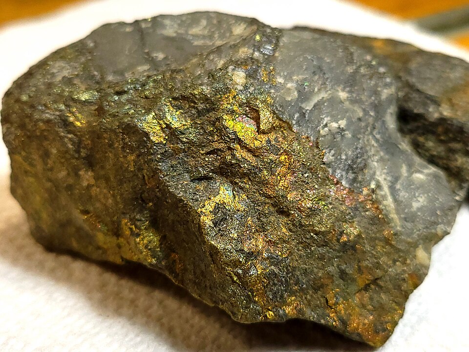 A chalcopyrite copper-ore specimen showing brassy golden-yellow metallic patches with iridescent tarnish