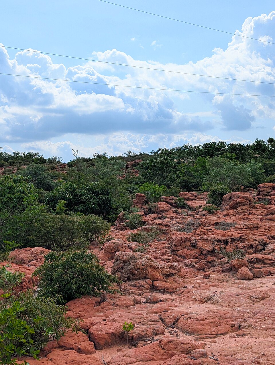 Red iron-rich laterite terrain with scrub vegetation