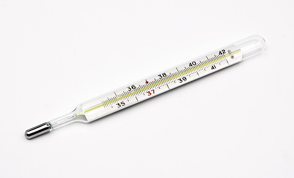 A clinical mercury-in-glass thermometer with Celsius scale