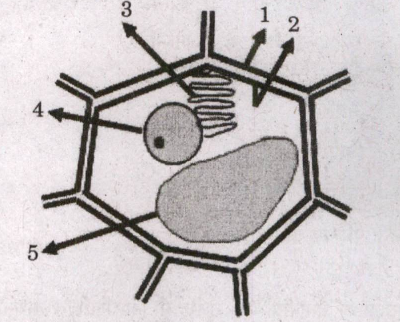 Diagram for Q14 (2023)