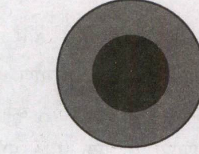 Diagram for Q56 (2024)