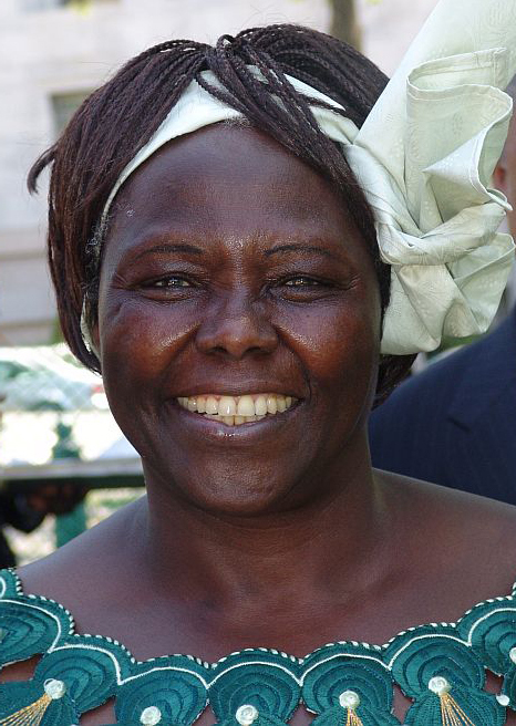 A smiling middle-aged African woman with braided hair under a cream headwrap, wearing a green dress with gold-and-teal embroidery at the neckline.