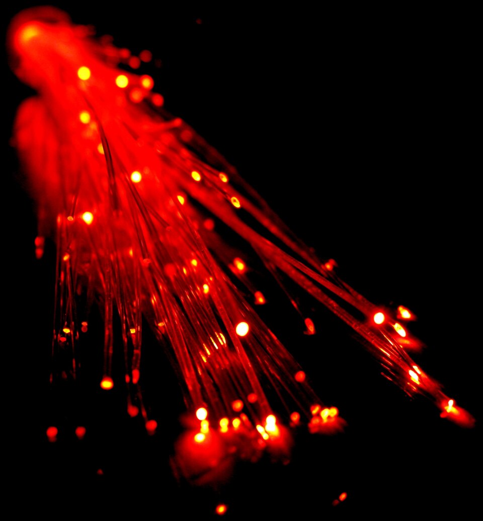 A splayed bundle of thin transparent optical fibres against a black background, each strand glowing red along its length with a bright point of light at its cut end.