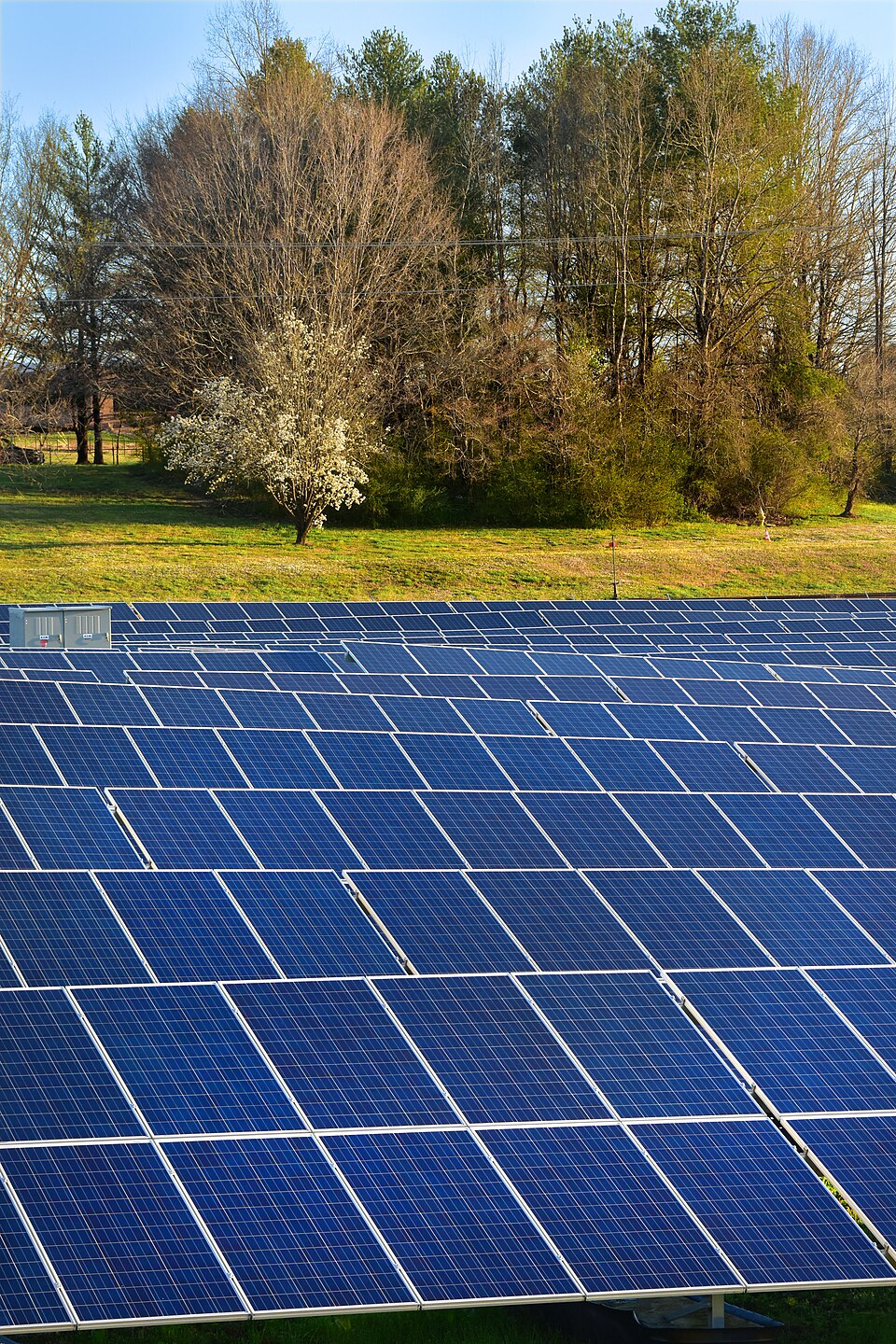 Rows of blue photovoltaic solar panels filling a field in front of a line of trees, part of a utility-scale solar array