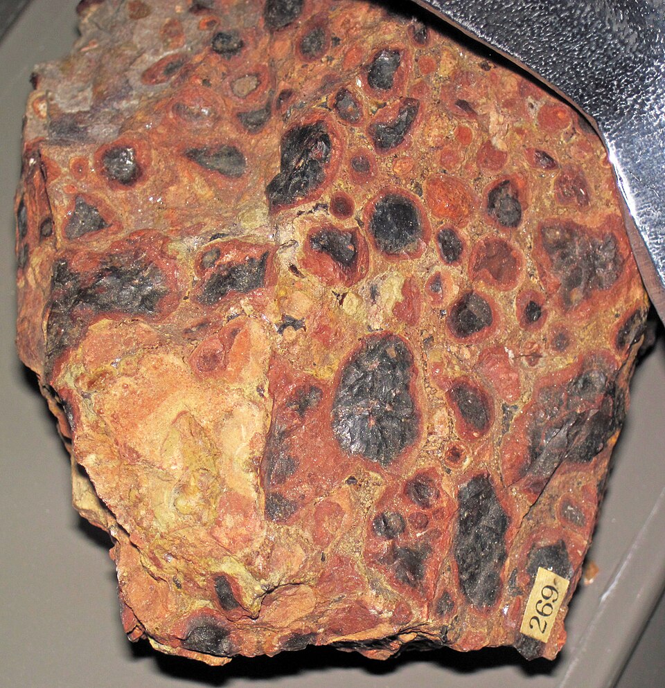 A specimen of reddish-brown pisolitic bauxite ore, its surface studded with rounded pea-like nodules in red, ochre and dark grey