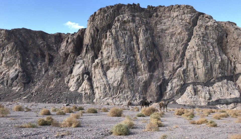 A rugged, barren rock massif rising above a stony desert plain dotted with dry scrub, with camels grazing in the foreground