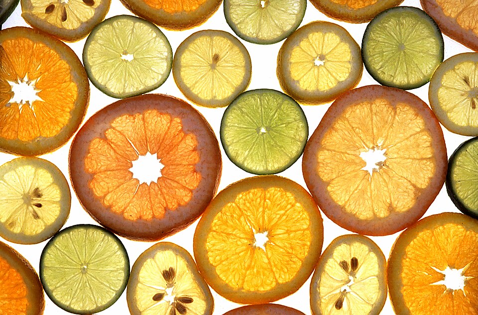 Backlit cross-sections of assorted citrus fruits - orange, lemon, lime and grapefruit slices - arranged together.