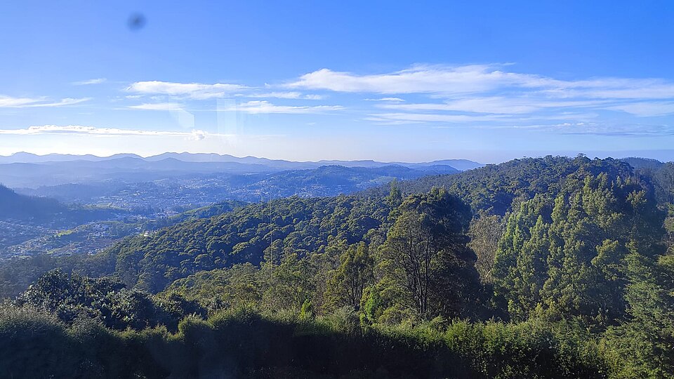 A panoramic view from a forested Nilgiri hilltop over rolling green hills, with a town spread across the valley below (Doddabetta viewpoint).