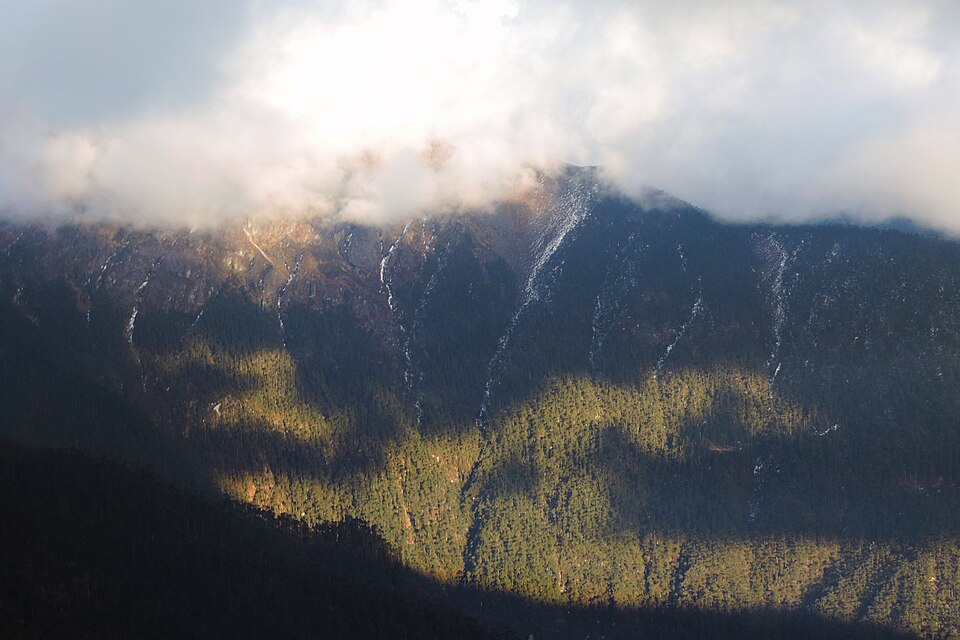 A forested Himalayan mountainside with patches of snow on the upper slopes, partly wrapped in low cloud and with no visible settlement.