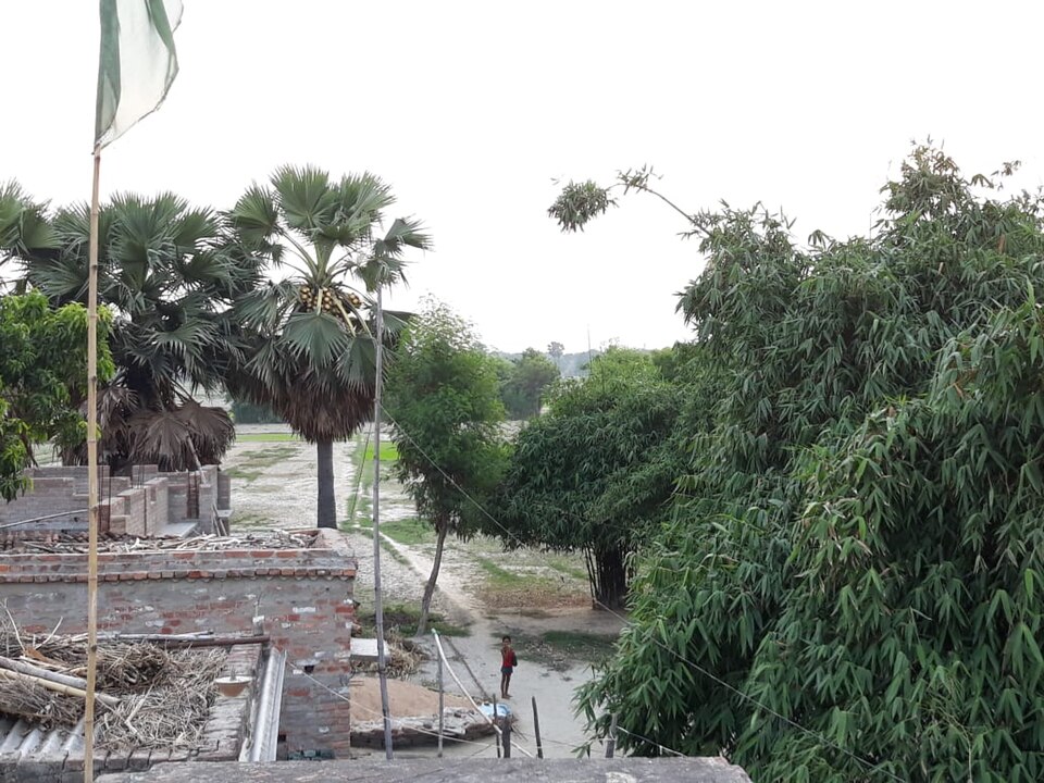 A rural Indian village view with brick houses, tall palm and bamboo trees and a dirt lane, with a child standing in the distance.
