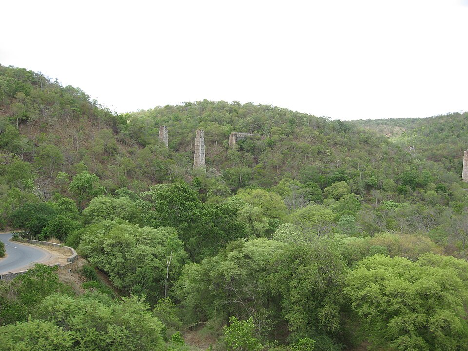 Green wooded slopes of the Nallamala hills seen from above, with a ghat road curving along the hillside and old stone bridge piers among the trees