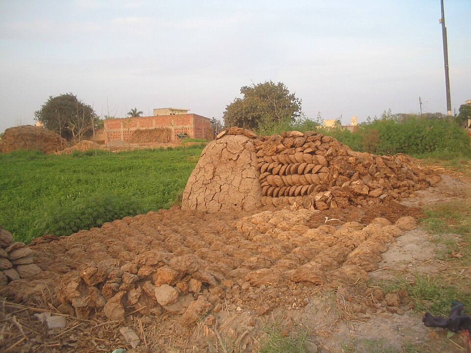 Cow-dung cakes laid out to dry on the ground beside a dome-shaped stack of them at the edge of a village field