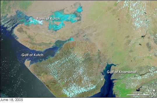 Satellite image of Gujarat with the Rann of Kutch, Gulf of Kutch and Gulf of Khambhat labelled, the Gulf of Khambhat forming a narrow funnel driving north into the coast