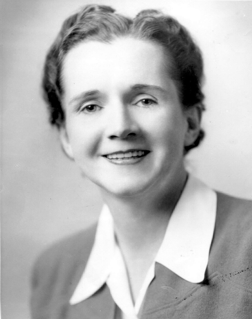 Black-and-white studio head-and-shoulders portrait of Rachel Carson, smiling, in a dark jacket over a white collared blouse