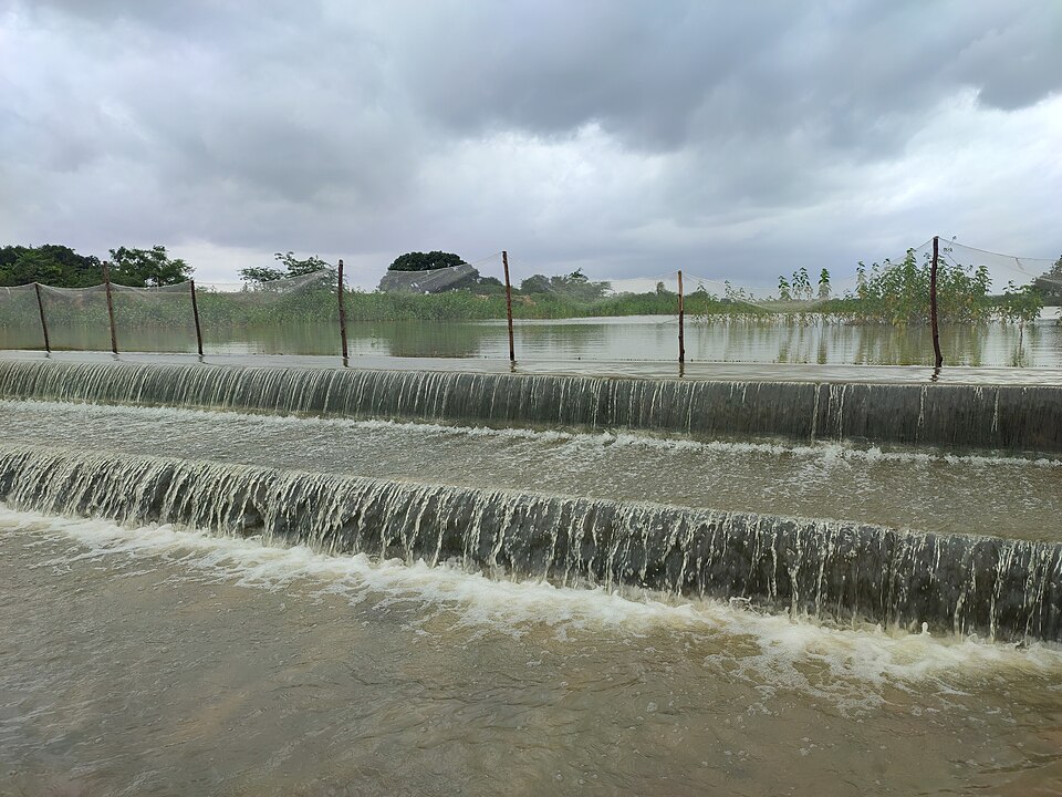 Monsoon run-off spilling over the stepped crest of a low concrete check dam, with ponded water held back behind it