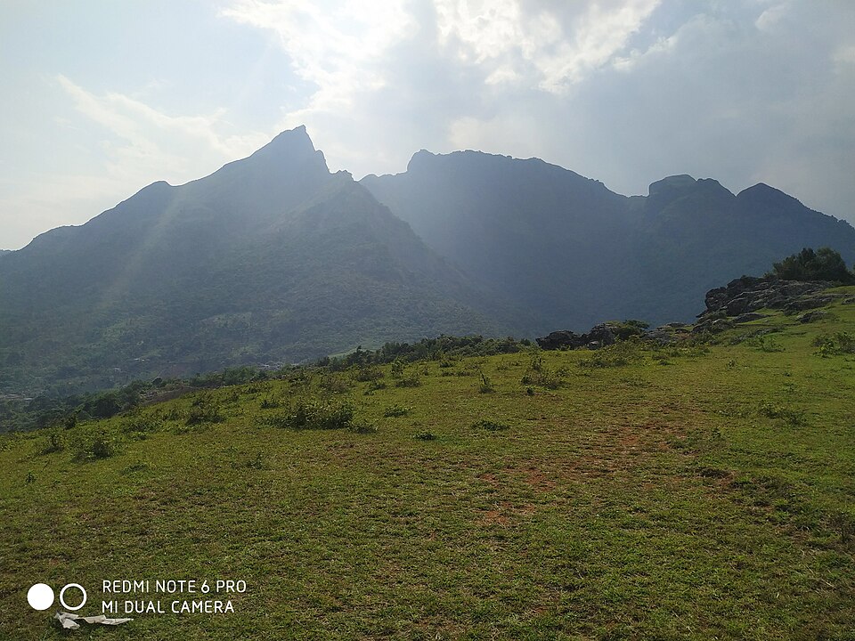 Forested peaks of the Western Ghats (the Mallieswaran hills at Attappady) rising above a grassy meadow under a hazy sky
