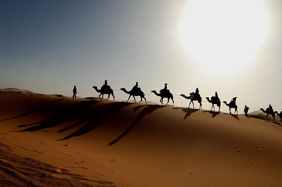 A caravan of single-humped dromedary camels with riders silhouetted along a Sahara sand dune against a bright low sun