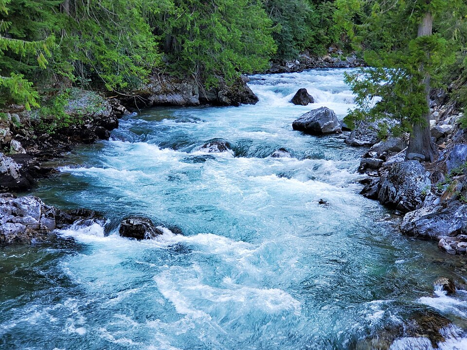 A fast-flowing rocky river churning into white rapids over boulders, banked by conifer forest