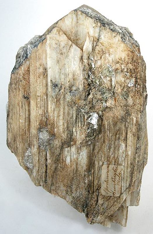 A pale, elongated prismatic crystal specimen of spodumene, a lithium-bearing ore mineral, with an old collection label attached