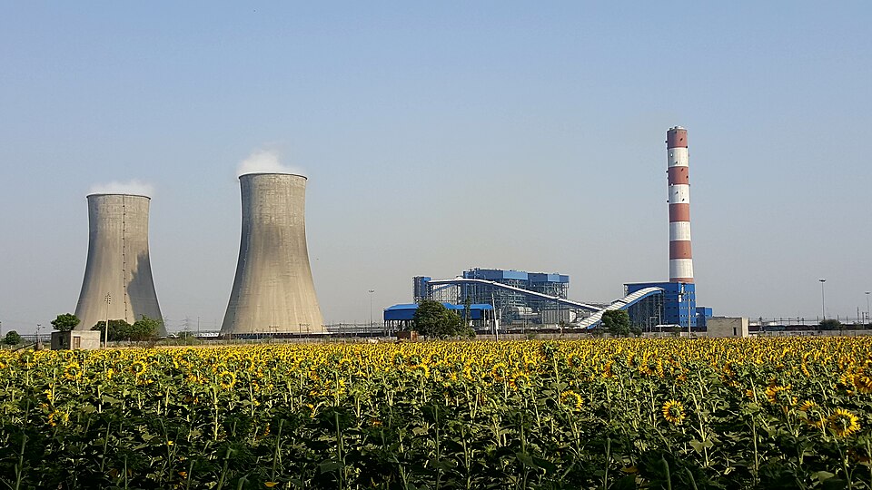 A coal-fired thermal power station seen across a field of sunflowers: two hyperboloid concrete cooling towers venting white plumes, a tall red-and-white banded chimney stack, and the blue boiler house with its conveyor gantries