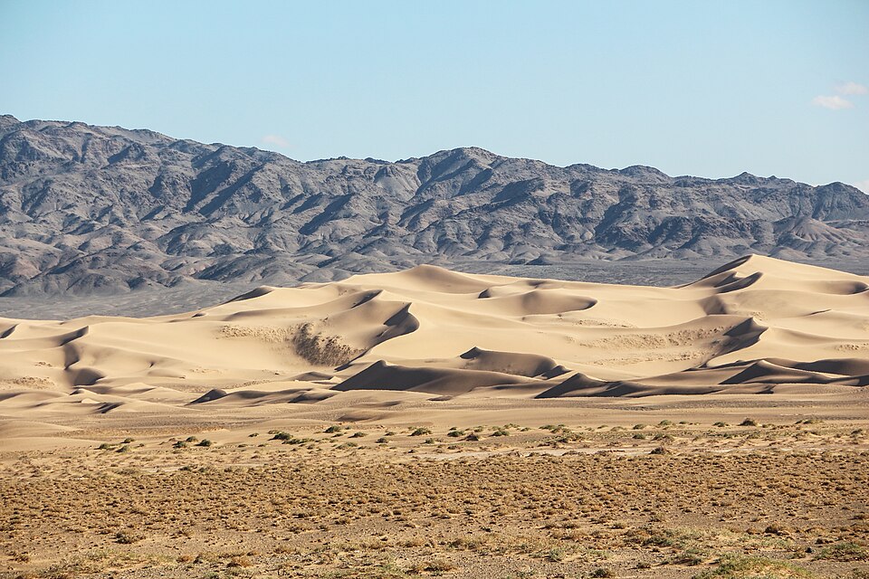 The Khongoryn Els sand dunes of the Gobi rising from sparse desert scrub, with a bare rocky mountain range behind them